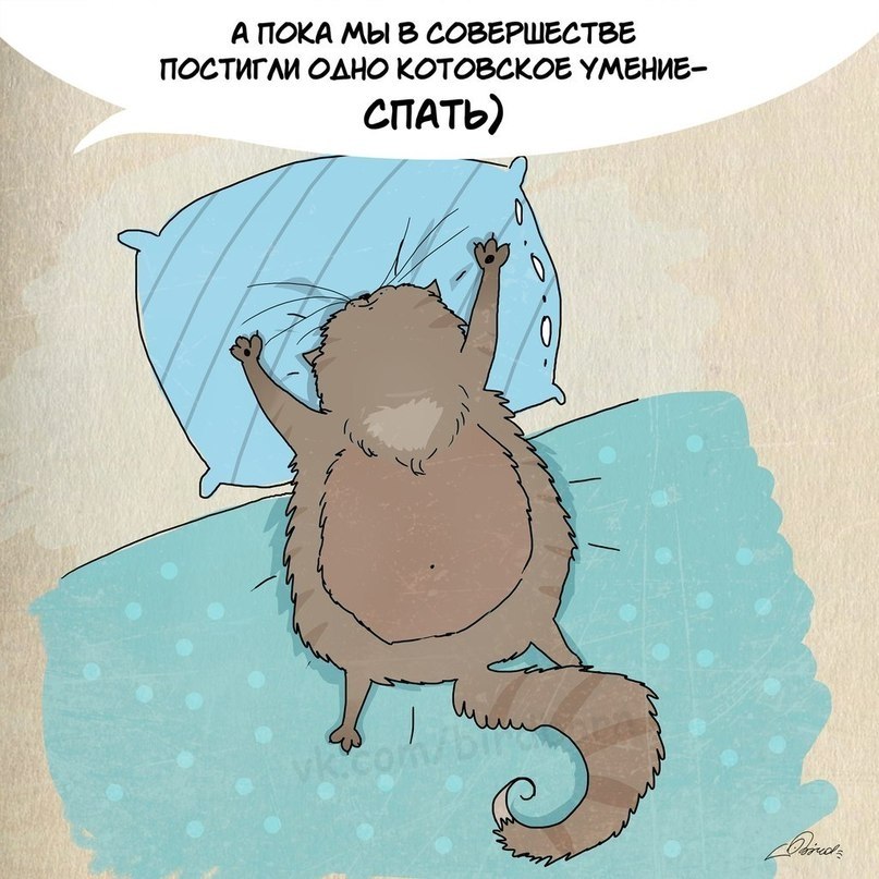    . - 8