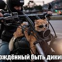 ���� ����, ������, 44 ���� - ��������� 27 ������� 2019 � ������ ���� ����������