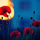 ���� �������, ������, 65 ��� - ��������� 30 ������ 2018 � ������ ���� ����������