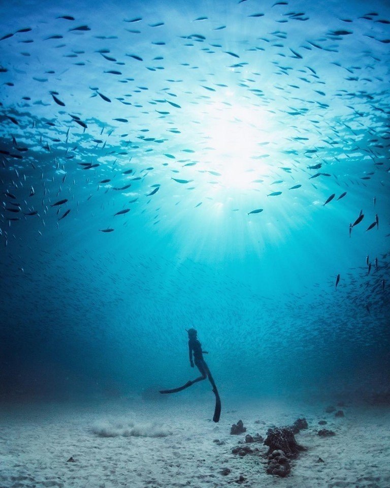 ������������ ���������� ����� �������! - 4