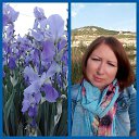 ���� �����, ����������� - ��������� 2 ������� 2018