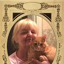 ���� �����, �����, 72 ���� - ��������� 23 ������ 2018 � ������ ���� ����������