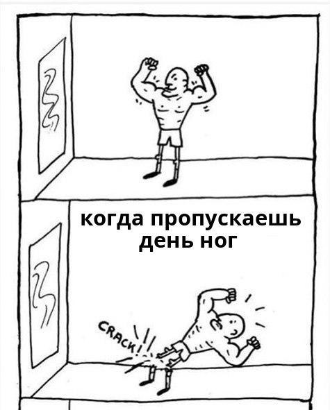 SportFeed - 17  2018  17:10