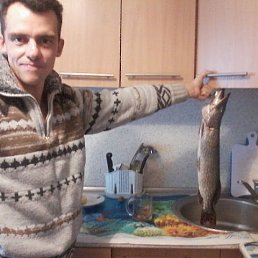 ����, ������, 47 ���