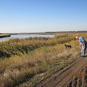 ���� ����, ���������� - ��������� 15 ������ 2019 � ������ ���� ����������