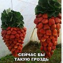  ++, , 55  -  9  2019    