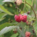  ,  -  6  2018      ...