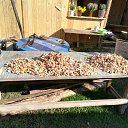 ���� ��������, ���������, 73 ���� - ��������� 28 ������ 2018 � ������ ���� ����������