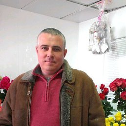 �����, ��������