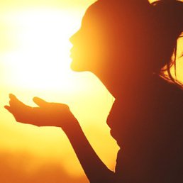 ���� ������, ��������, 41 ��� - ��������� 25 ���� 2018