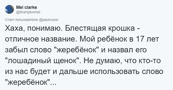 Болезнь когда забываешь что то. Болезнь когда забываешь что то. Муха цеце сонная болезнь. Болезнь когда забываешь что то. Элефантиазиформная проказа.