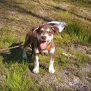 ���� ����� ))))))), �����-���������, 42 ���� - ��������� 11 ������ 2018 � ������ ���� ����������