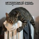 ���� �����, ���������� �����, 46 ��� - ��������� 30 �������� 2018 � ������ ���� ����������