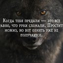 ���� ���������, ������, 48 ��� - ��������� 15 ���� 2018