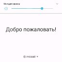 ���� �����, ������, 42 ���� - ��������� 25 �������� 2018