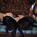 ���� ����, ��������, 52 ���� - ��������� 14 ����� 2019 � ������ ������ ��������