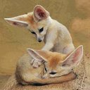  Svetlana, , 55  -  26  2018    