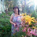 ���� �����, ����� - ��������� 26 ���� 2018 � ������ ���� ����������