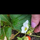  , , 46  -  29  2018   :)))