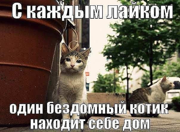 Школа? Не, не слышали! - 20 августа 2018 в 16:36