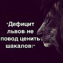 ���� R, ������� - ��������� 7 ������� 2019 � ������ ���� ����������