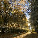 ���� �������, �������������, 42 ���� - ��������� 13 ������� 2018 � ������ ���� ����������