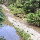 ���� ��������, �������, 55 ��� - ��������� 10 �������� 2018 � ������ �����2018�