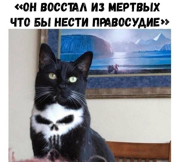    :D - 17  2018  16:32