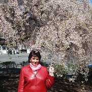 Jelena, 61 год, Карловы Вары Jelena, 61 год, Карловы Вары