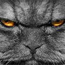 ���� ����� 50, ������ - ��������� 17 ������ 2019 � ������ ���� ����������