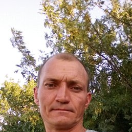 �������, ������, 46 ���