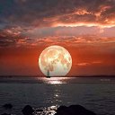 ���� �� ������� ���� ����������