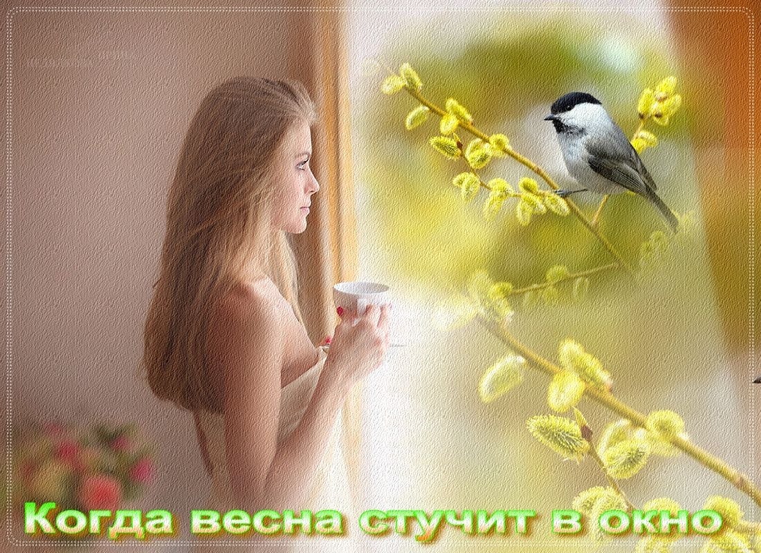   ,    . - 21  2019  19:04