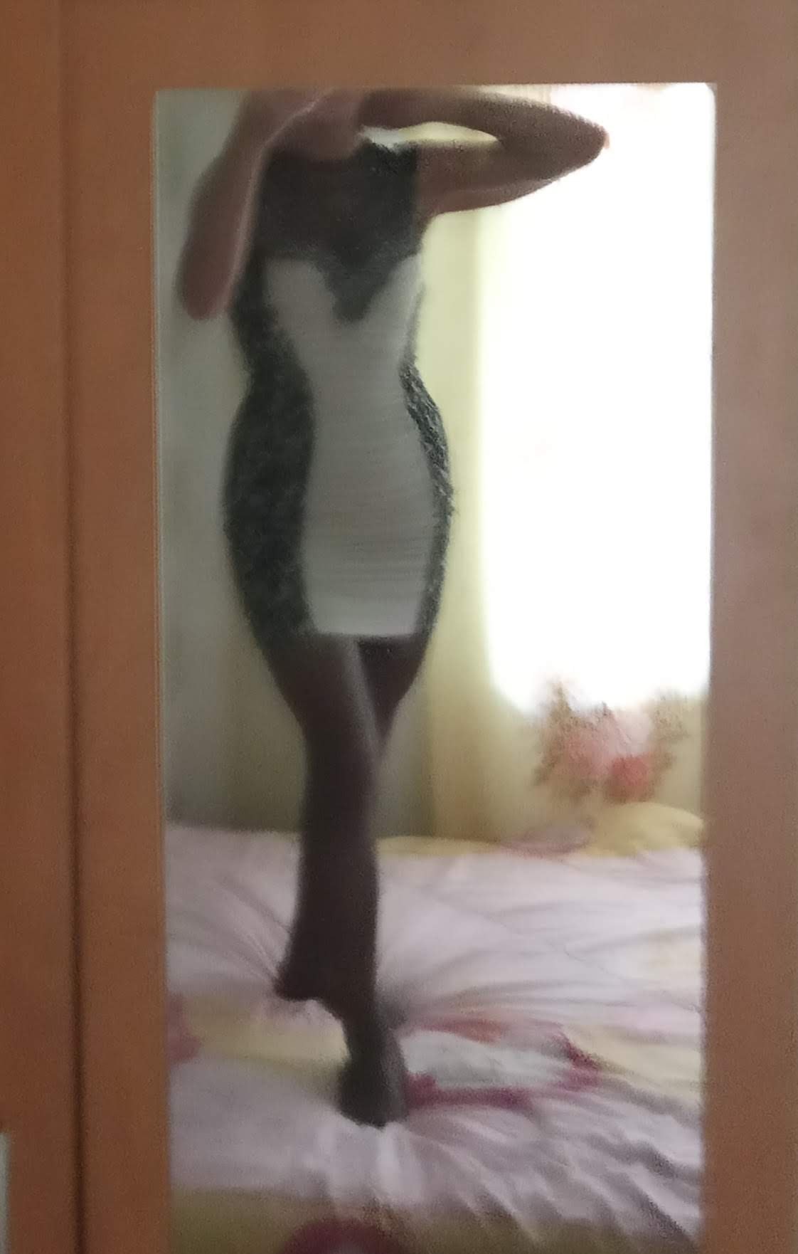  - 26  2018  13:38