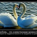 ���� Arthur, �������, 46 ��� - ��������� 29 �������� 2018 � ������ ������ ��������