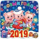 ���� ���� ���, ���������, 49 ��� - ��������� 1 ������ 2019 � ������ ������ ��������