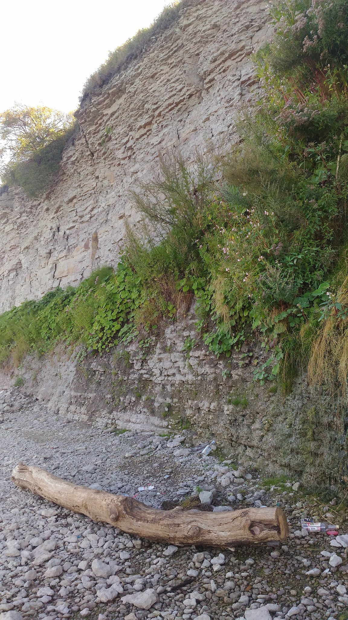  - 23  2018  16:51 - 5