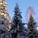 ���� ������, ������� - ��������� 8 ������ 2019 � ������ ���� ����������