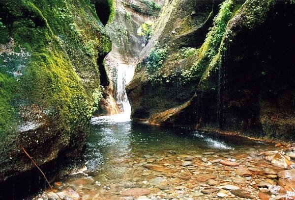 ��������� � ������.���������� ������� � ��� ��������� �� ������� ��������� ���� � ����� �������. ... - 6