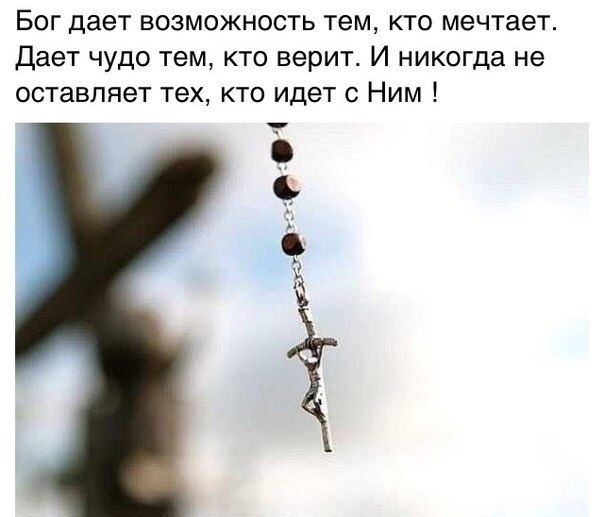  |  |  - 14  2018  16:31