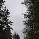 ���� �����, �������, 67 ��� - ��������� 26 ������� 2019 � ������ ���� ����������