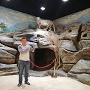 ���� �����, ������, 39 ��� - ��������� 1 ������� 2018 � ������ �������