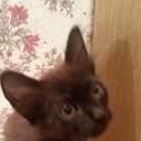 ���� �������, �������, 50 ��� - ��������� 2 ������ 2019 � ������ ���� ����������