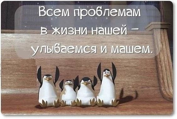 ***Victoria Viktorovna*** - 17  2018  15:03
