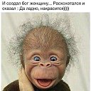 ���� ������, ������, 64 ���� - ��������� 14 ������� 2018 � ������ ������ ��������