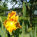 ���� �����, ����� - ��������� 5 ������� 2018 � ������ ���� ����������