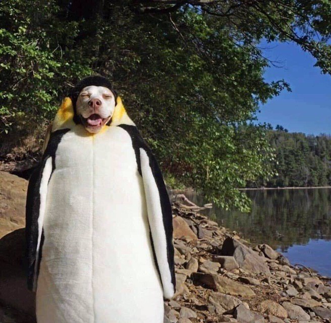     - 5