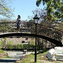 ���� ����, ����������, 23 ���� - ��������� 4 ������ 2019 � ������ ���� ����������