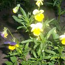 ���� �������, ������ - ��������� 9 �������� 2018 � ������ ���� ����������