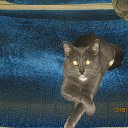 ���� ���, ������� - ��������� 27 �������� 2018 � ������ ���� ����������